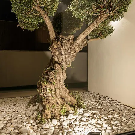 Paradisus Golf & Wellnes Вілла