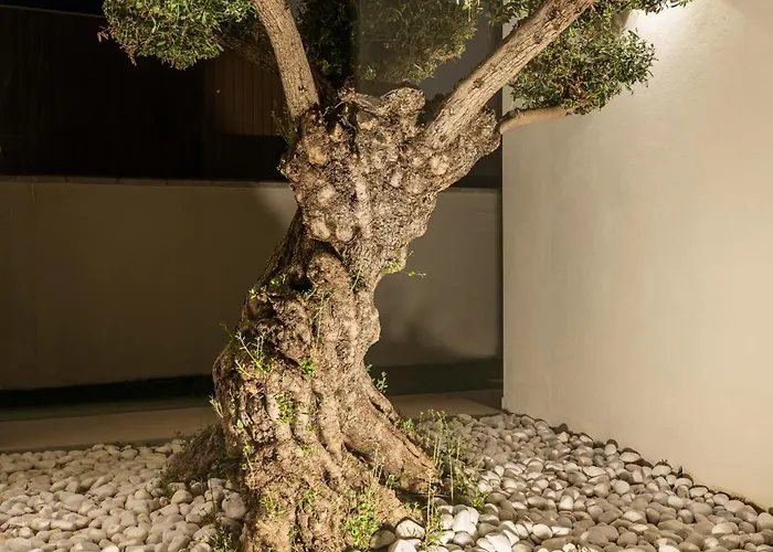 Paradisus Golf & Wellnes 빌라