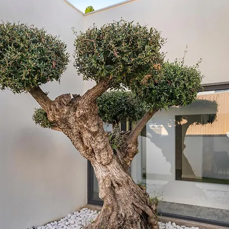 Paradisus Golf & Wellnes Villa