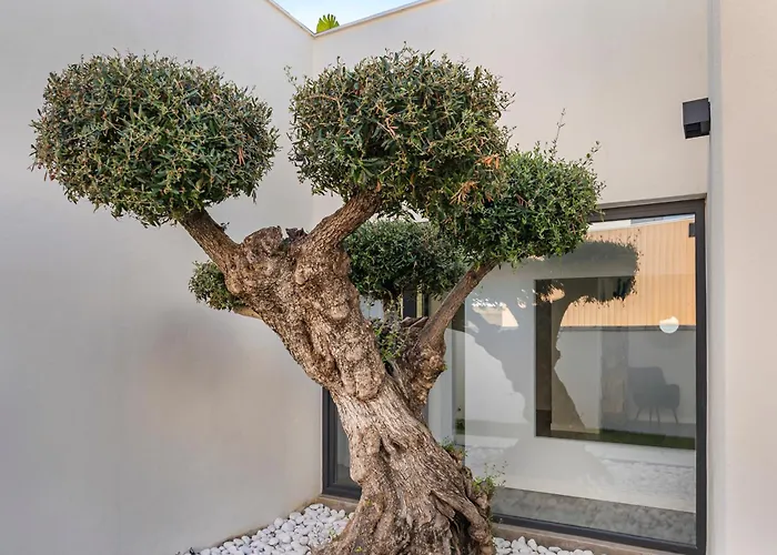 Paradisus Golf & Wellnes Villa